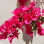 Casa Rene - Charming *