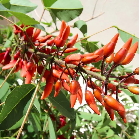 Casa Rene - Charming Διαμέρισμα