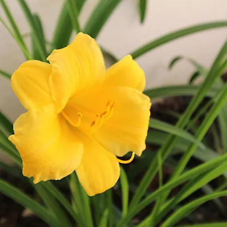 Casa René - Charming Apartamento Almada