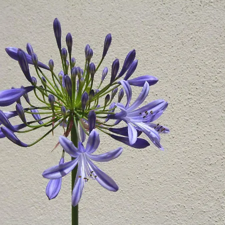 Casa René - Charming Apartamento *