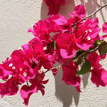 Casa Rene - Charming *