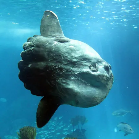 Casa René - Charming