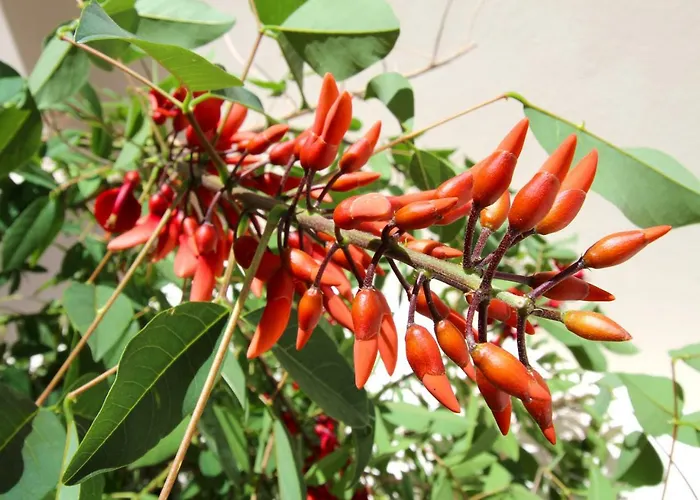 Casa René - Charming Apartamento