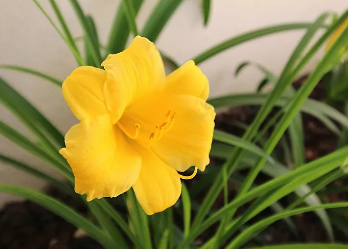 Casa René - Charming Apartamento Almada