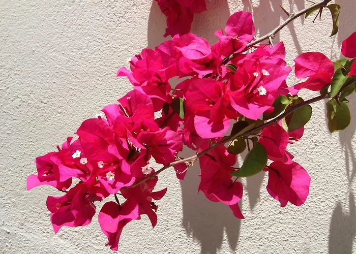 Casa René - Charming *