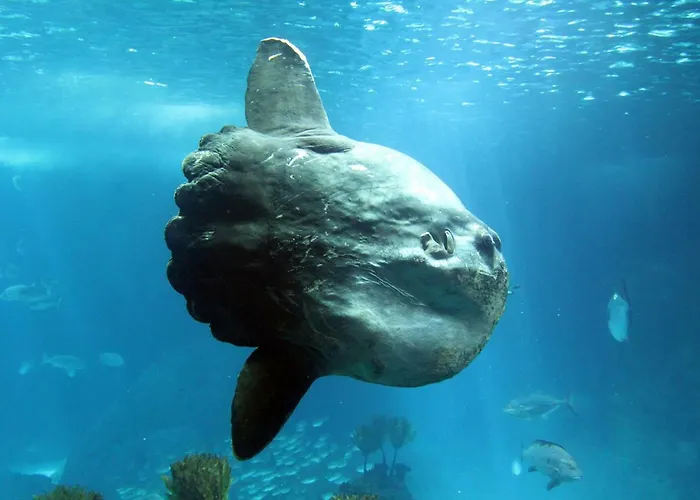 Casa René - Charming